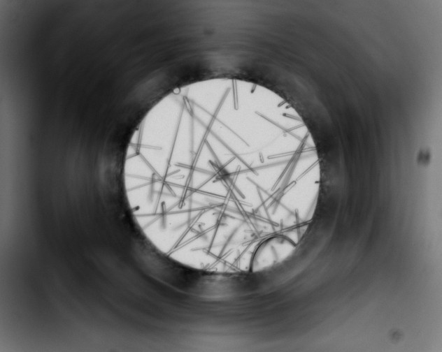X0000103910082200810311442