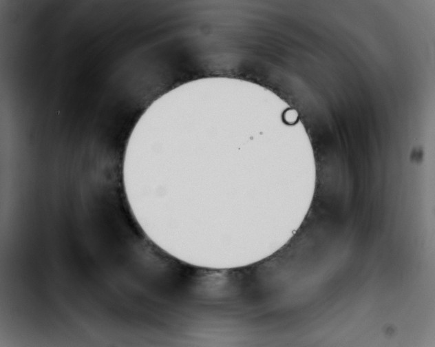 X0000103910083200810311442