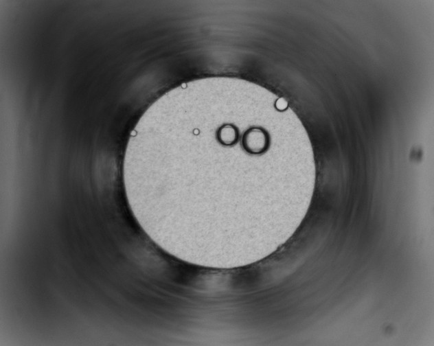 X0000103910084200810311442