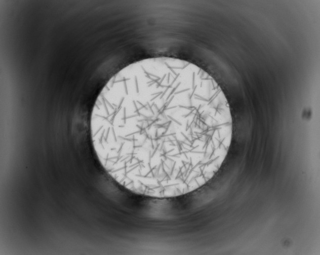 X0000103910085200810311442