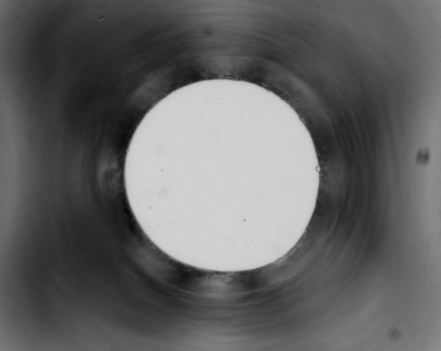 X0000103910086200810311442