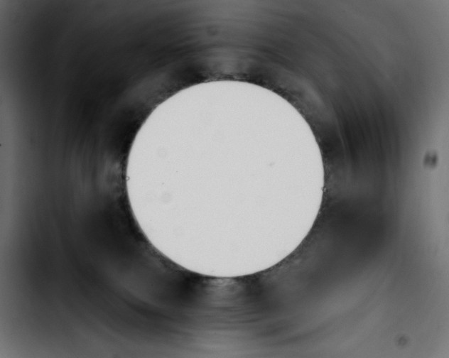 X0000103910087200810311442