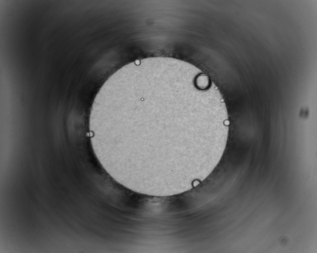 X0000103910088200810311442