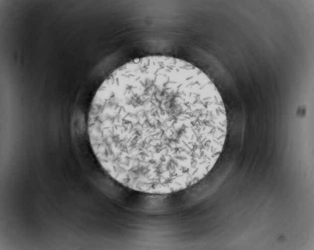 X0000103910089200810311442