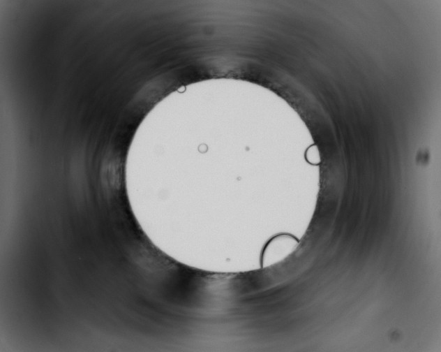 X0000103910090200810311442