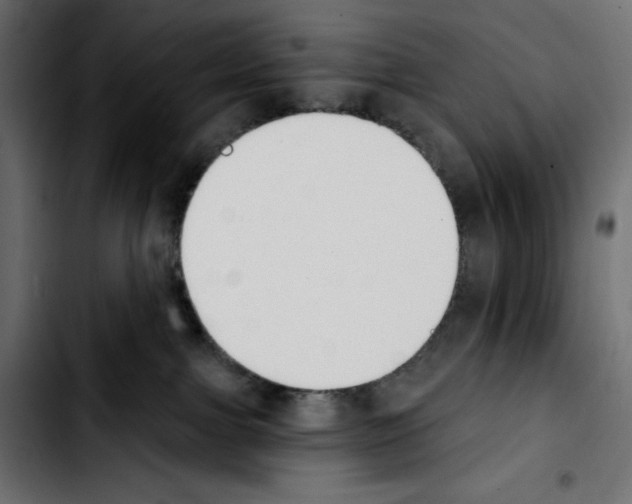 X0000103910091200810311442