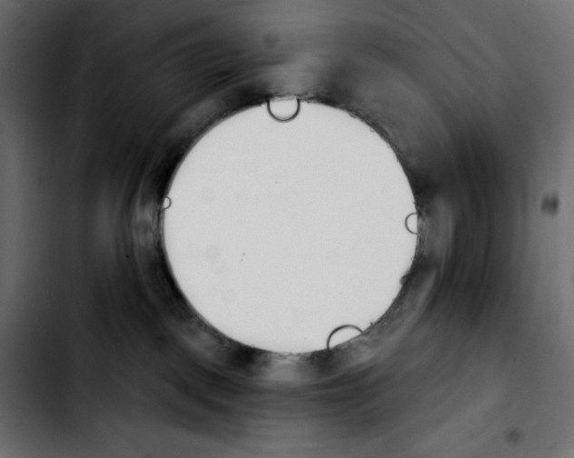 X0000103910093200810311442