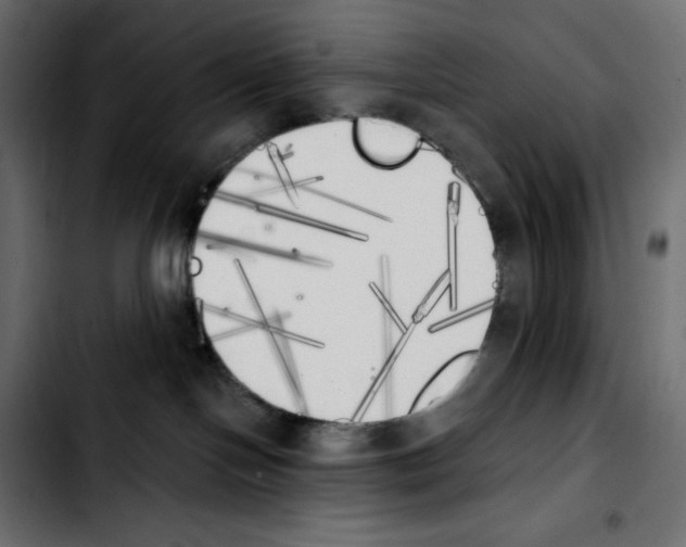 X0000103910094200810311442