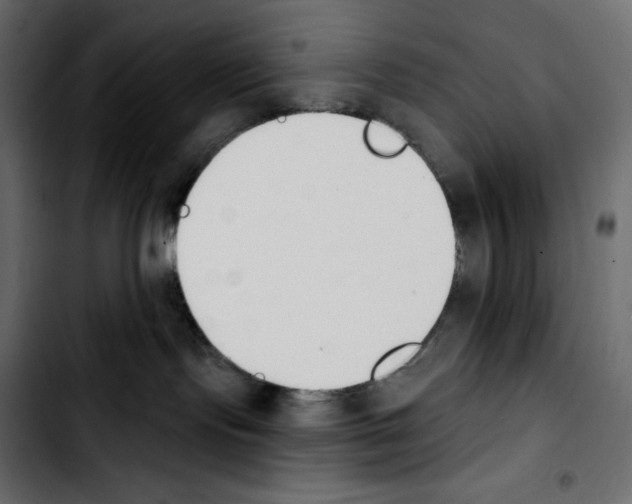 X0000103910095200810311442