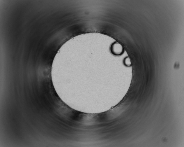 X0000103910096200810311442