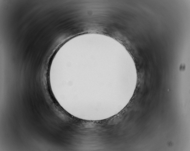 X0000103910098200810311441