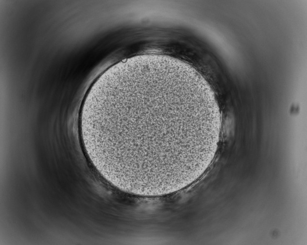 X0000103910099200810311441