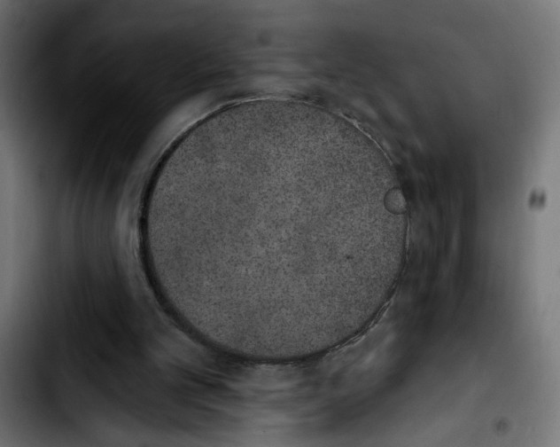X0000103910101200810311441