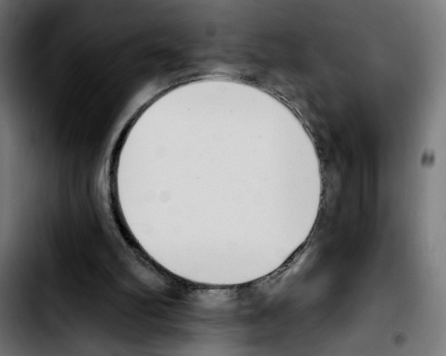 X0000103910102200810311441