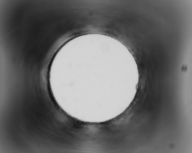 X0000103910103200810311441