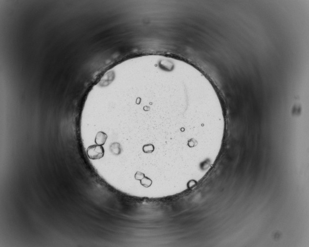 X0000103910105200810311441