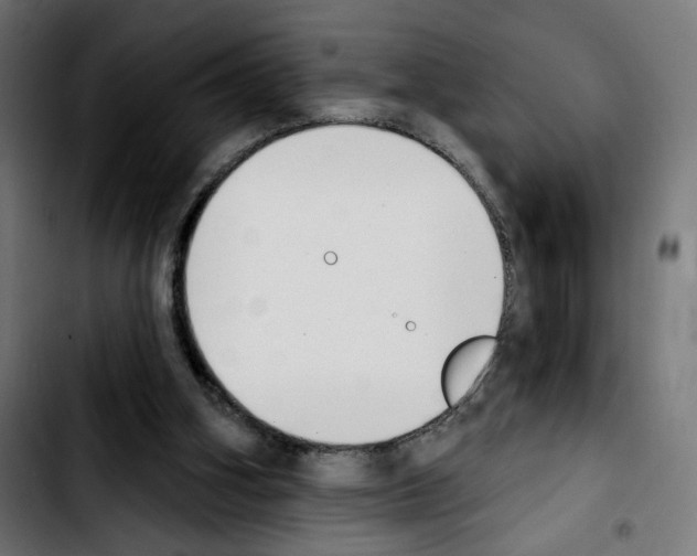 X0000103910106200810311441