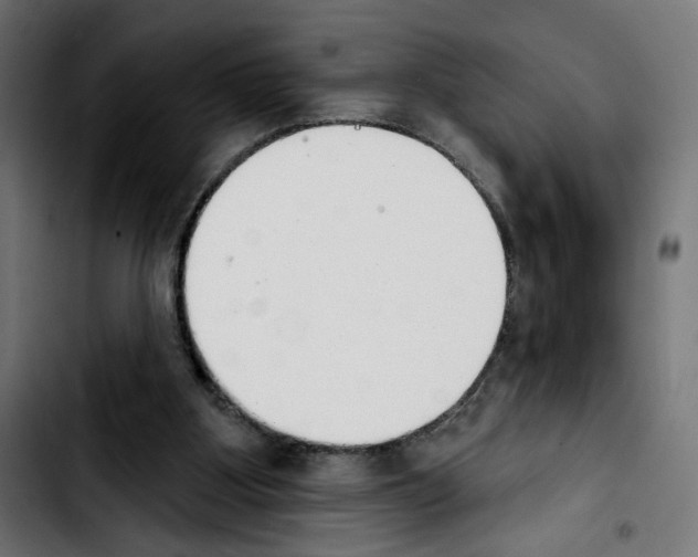 X0000103910107200810311441