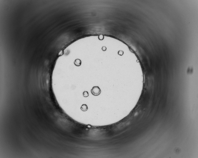 X0000103910109200810311441