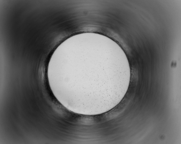 X0000103910110200810311441