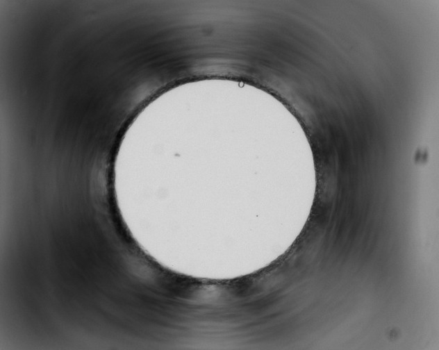 X0000103910111200810311441