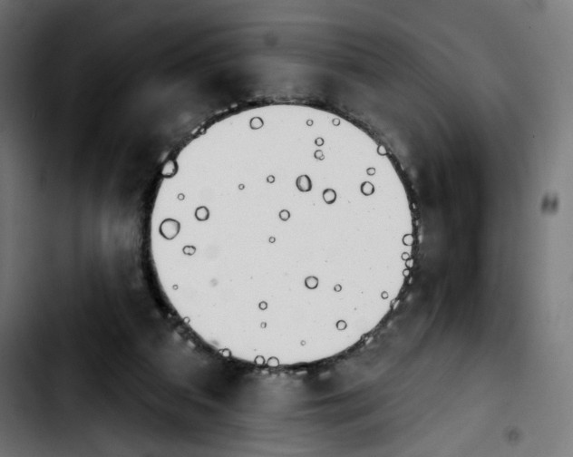 X0000103910113200810311441