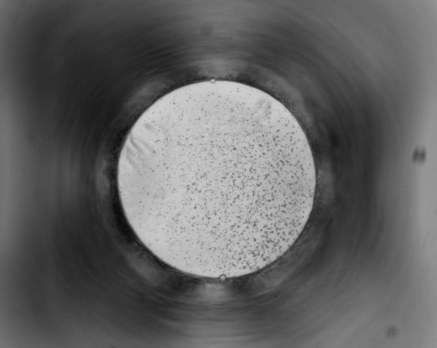 X0000103910114200810311441
