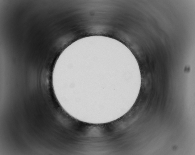 X0000103910115200810311441