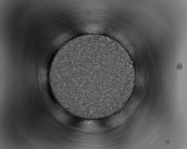 X0000103910117200810311441
