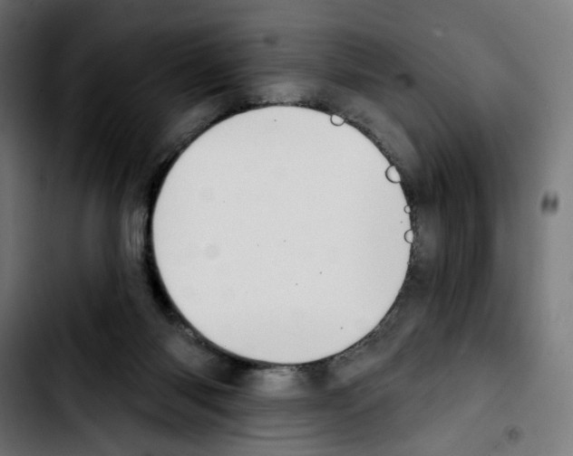 X0000103910118200810311441