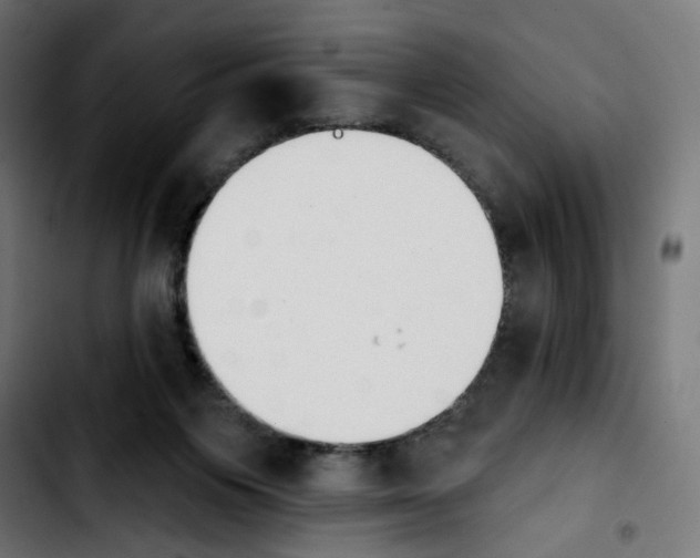 X0000103910119200810311441