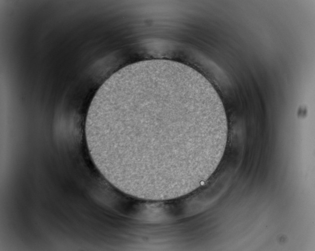 X0000103910121200810311441