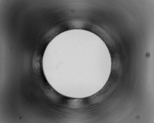 X0000103910122200810311441