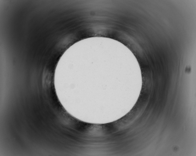 X0000103910123200810311441