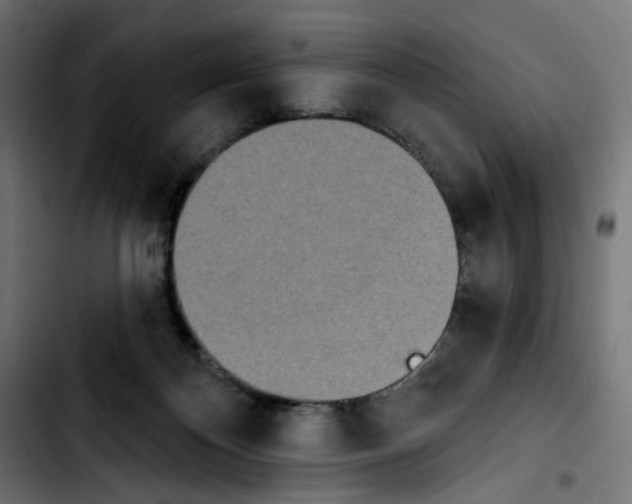 X0000103910124200810311441