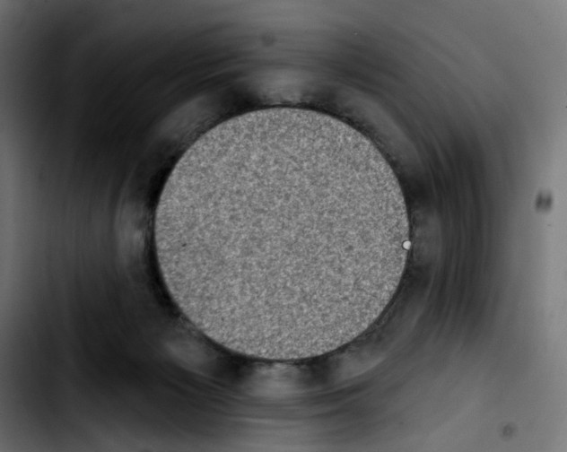 X0000103910125200810311441