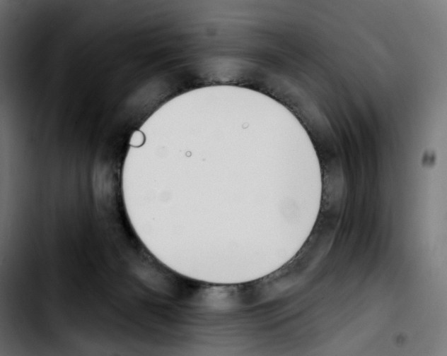 X0000103910126200810311441