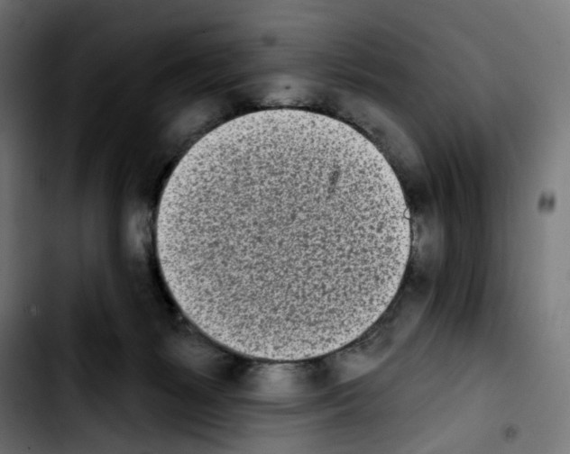 X0000103910127200810311441
