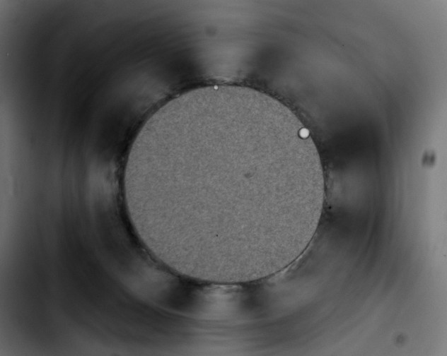 X0000103910128200810311441
