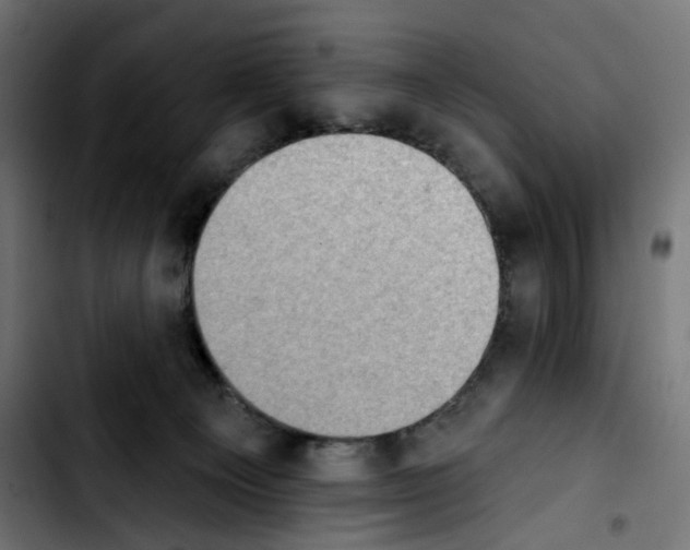 X0000103910129200810311441