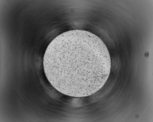 X0000103910130200810311441