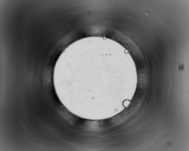 X0000103910131200810311441