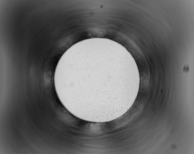 X0000103910134200810311441
