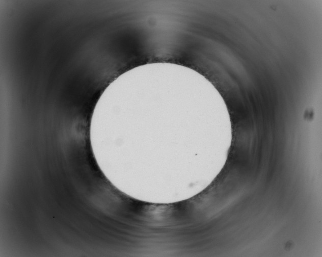 X0000103910135200810311441