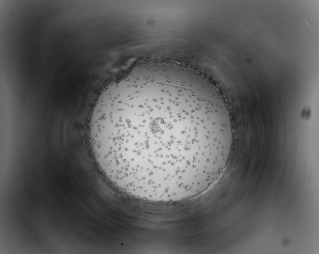 X0000103910136200810311441
