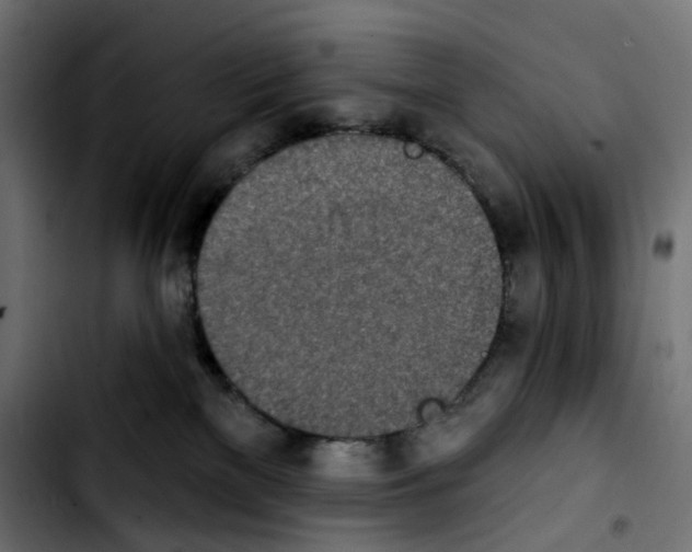 X0000103910137200810311441