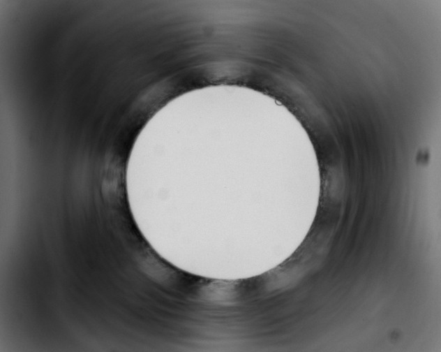 X0000103910138200810311441