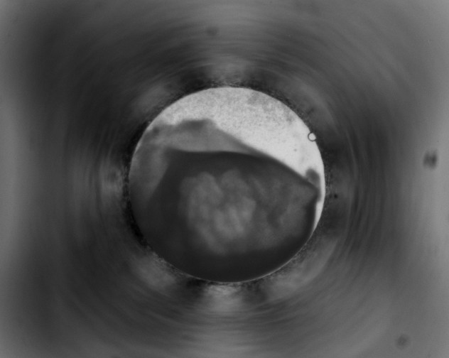 X0000103910139200810311441