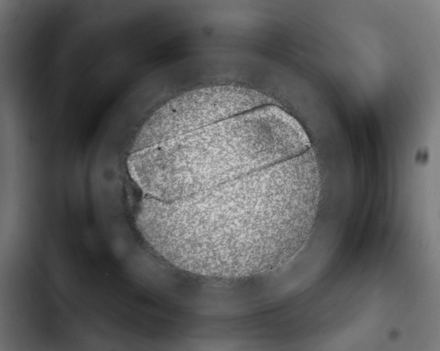 X0000103910140200810311441