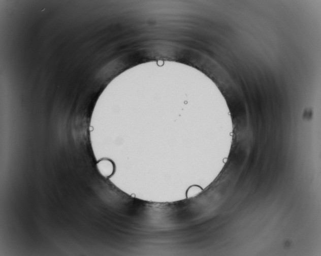 X0000103910141200810311441